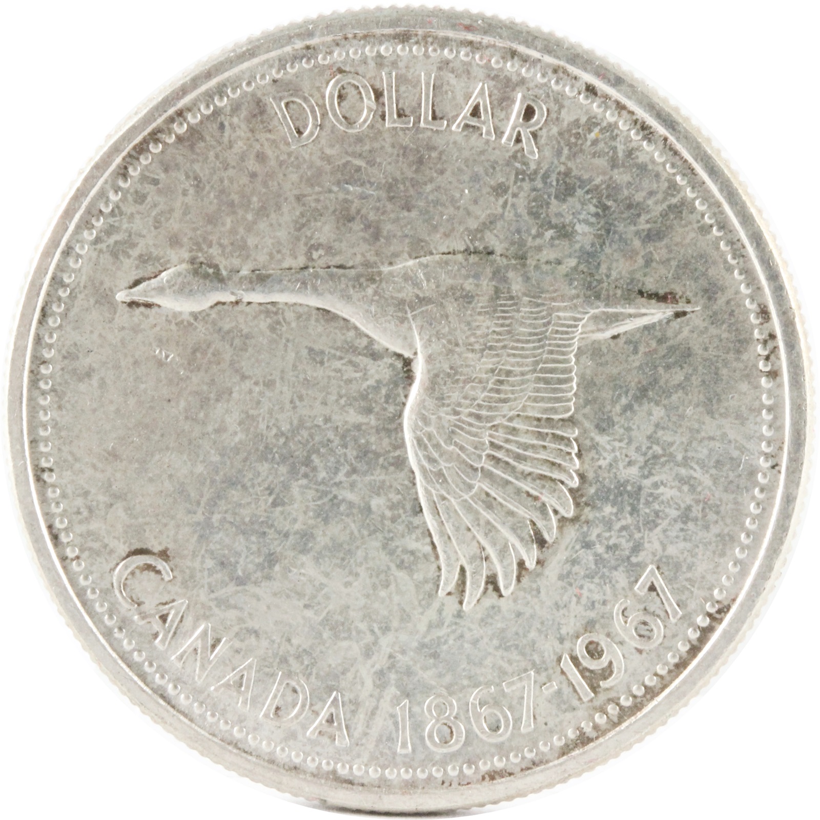 カナダ 1DOLLAR 銀貨 1967年 エリザベス2世 XF | ミスターコインズ