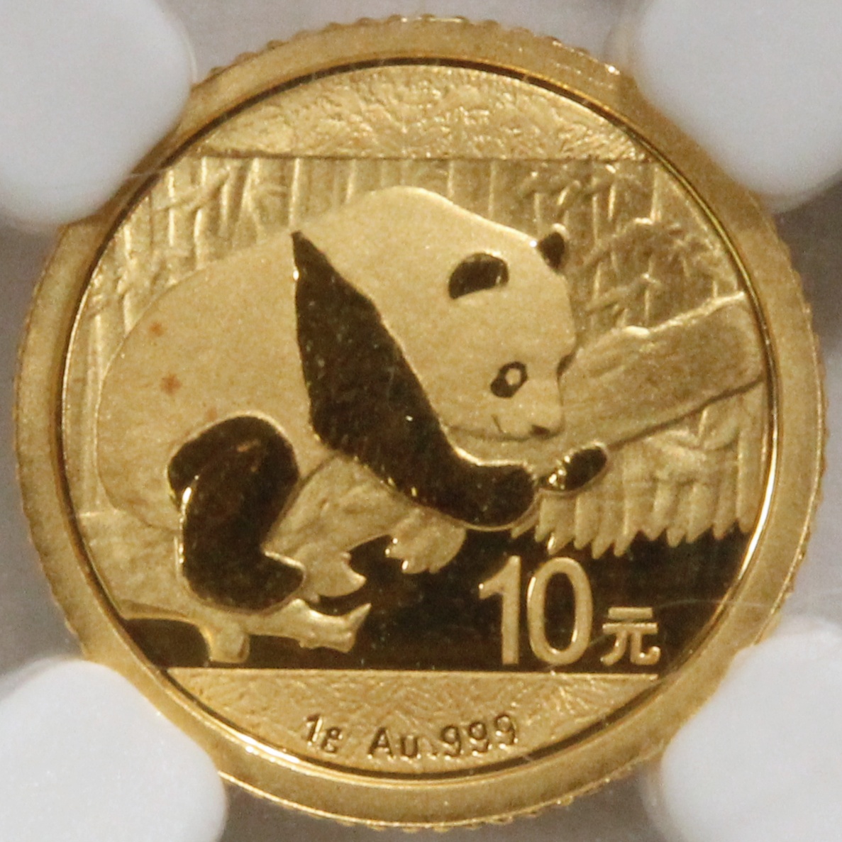 2016年 中国 パンダ 10元 金貨  NGC 鑑定  MS70